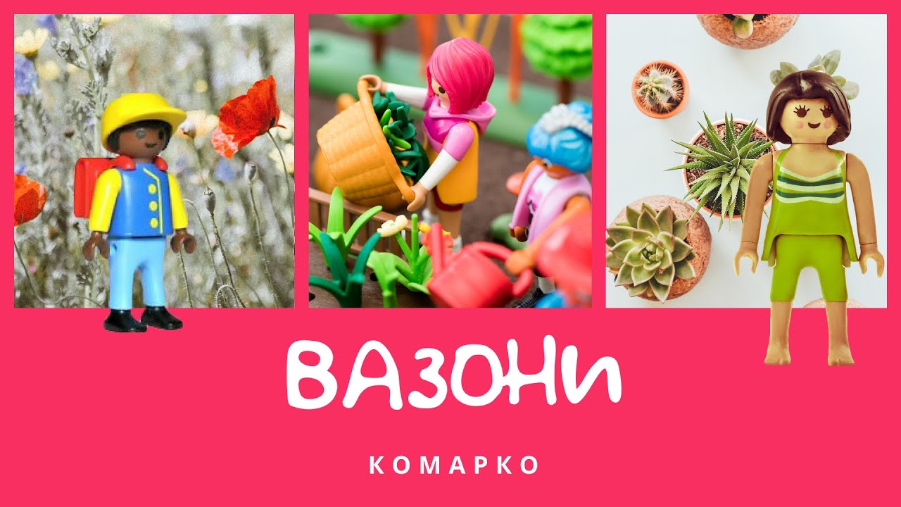 Вазони. Повчальні історії | КоМарко