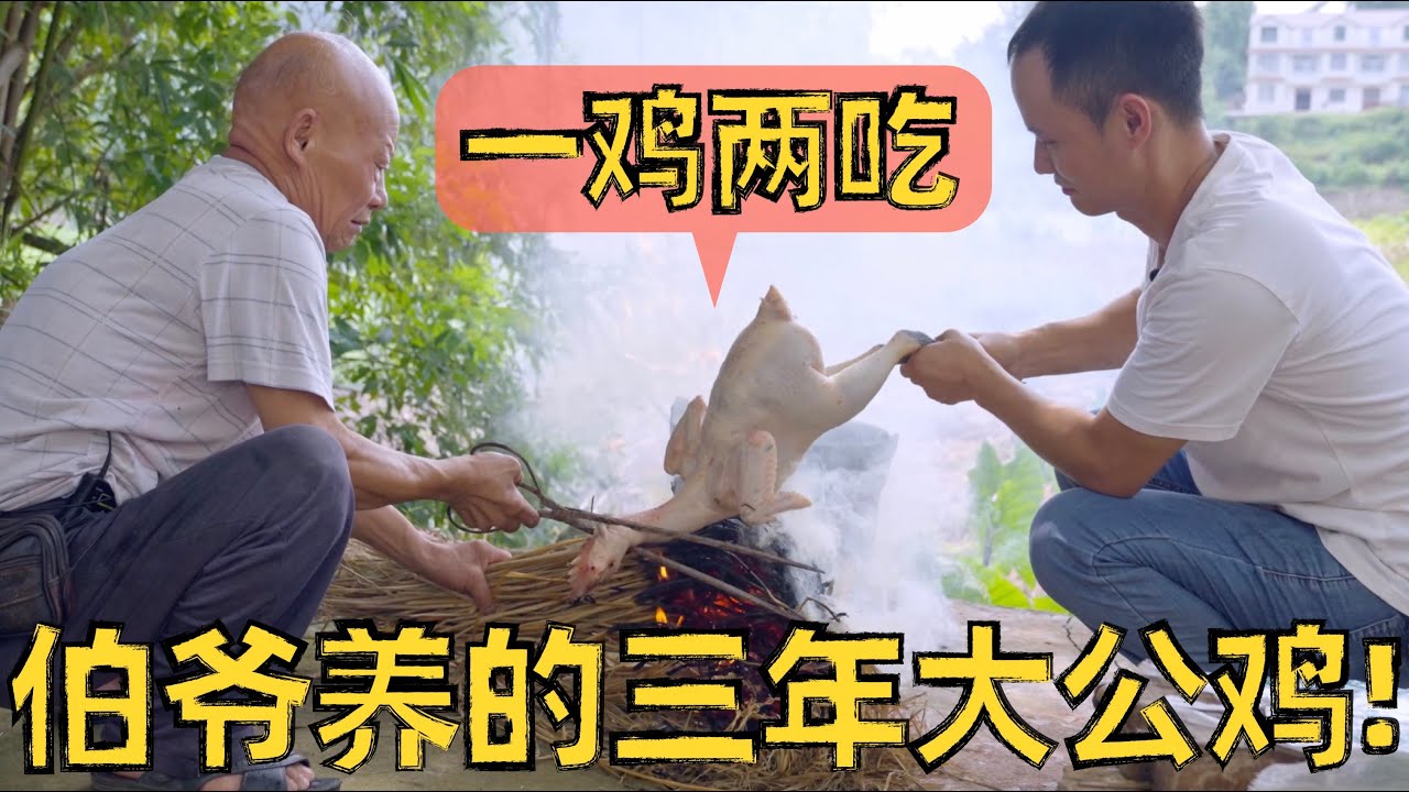 伯爷“忍痛割爱”大公鸡，这么好的食材必须做个“一鸡两吃”