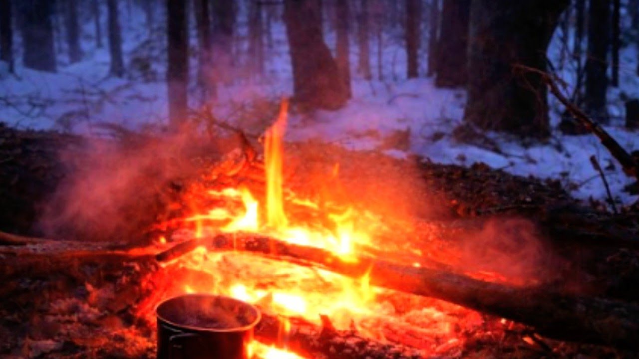 Alone in a Deep Forest — Fire and Tea During Rain, −7°C at Night
