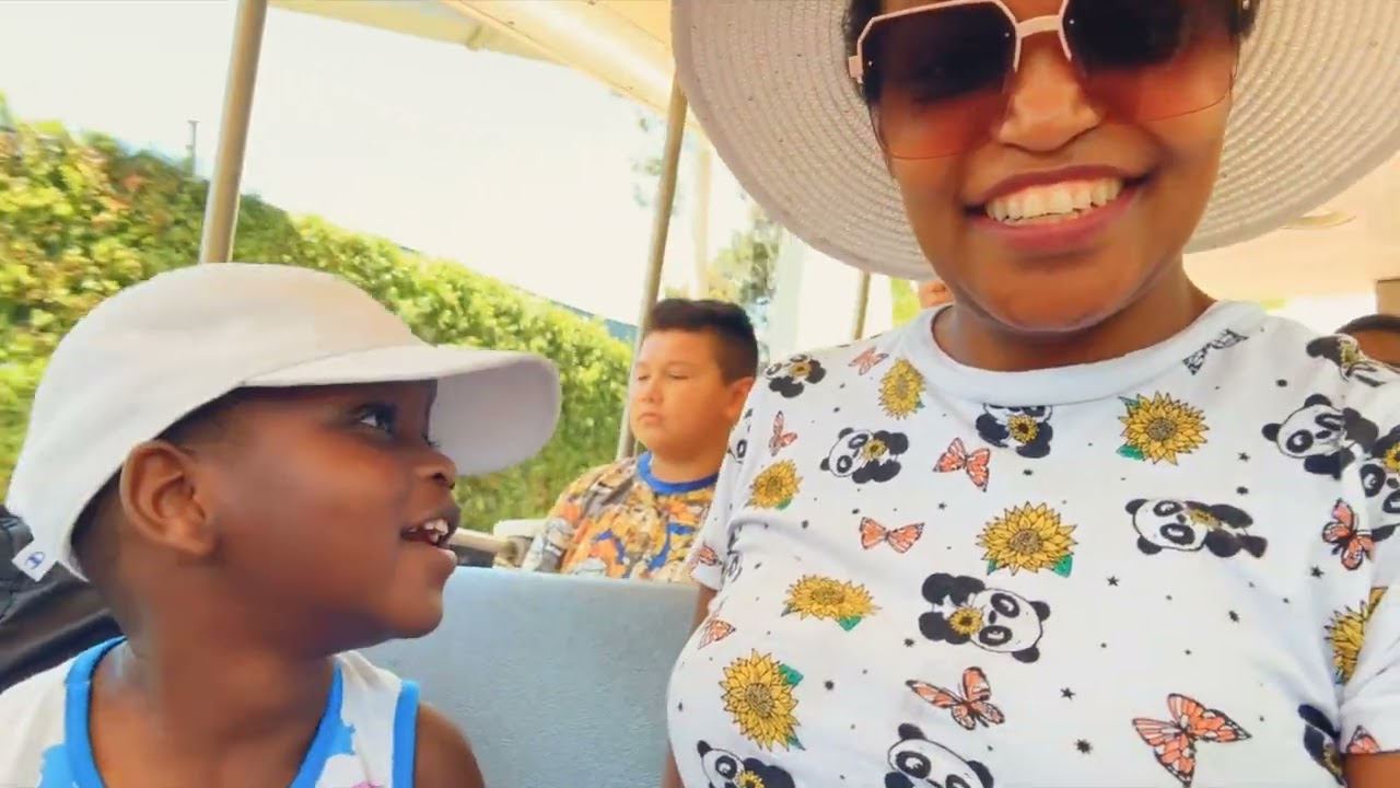 Our DisneyLand Tour Experience in California