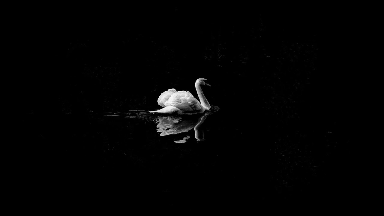 The Saddest Hip-Hop Beat Ever | Emotional American Rap Instrumental | Smooth Sad Piano Trap Beat