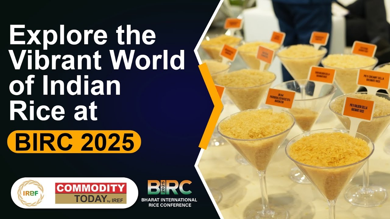Explore the Vibrant World of Indian Rice at #BIRC2025 #indianrice #agritech #riceexport #madeinindia