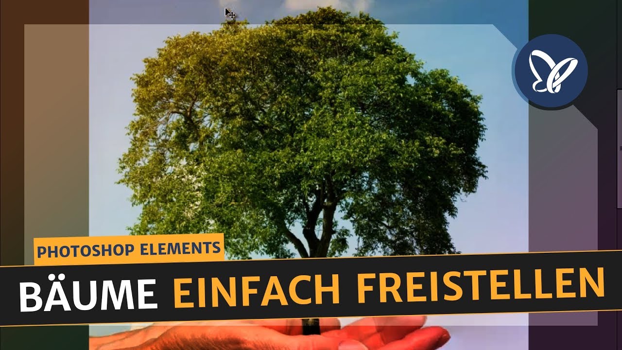 Photoshop Elements Tutorial: Freistellen von Bäumen