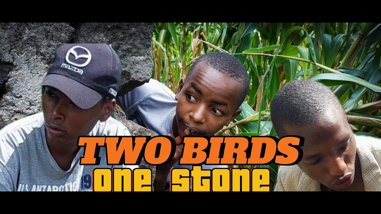 Two birds one stone