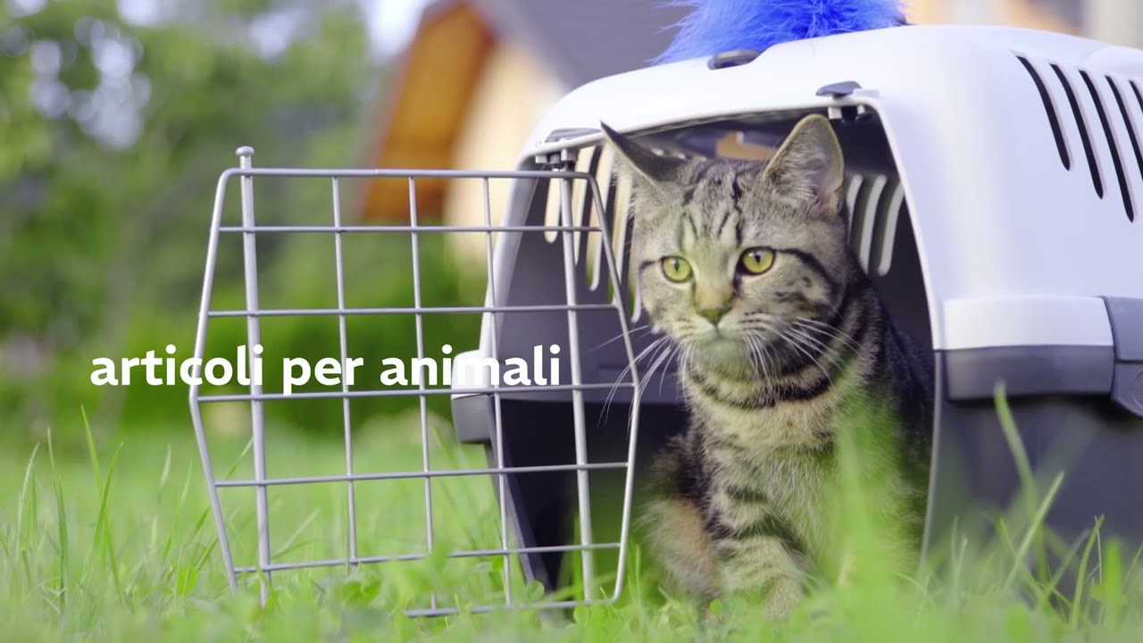 Applicazioni della plastica riciclata