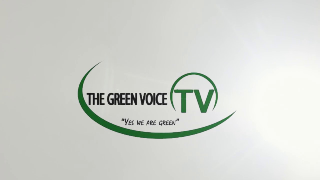 Logo animation