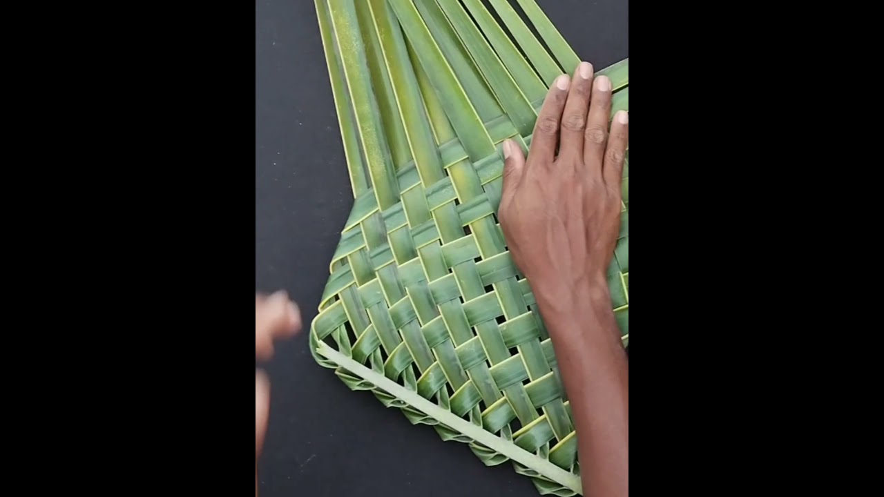 How to make a Hand Fan From coconut leaf #coconut #art #reels #shorts