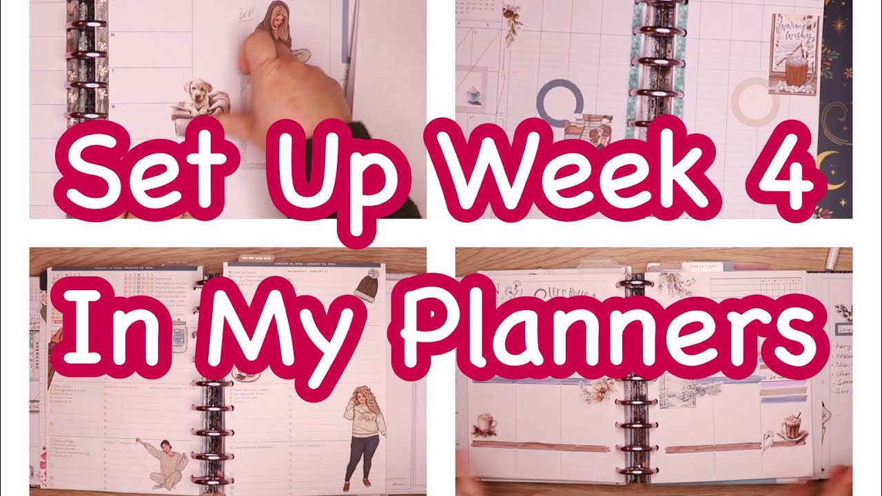 Set Up January Week 4 With Me Laurel Denise Frankenplanner On Discs