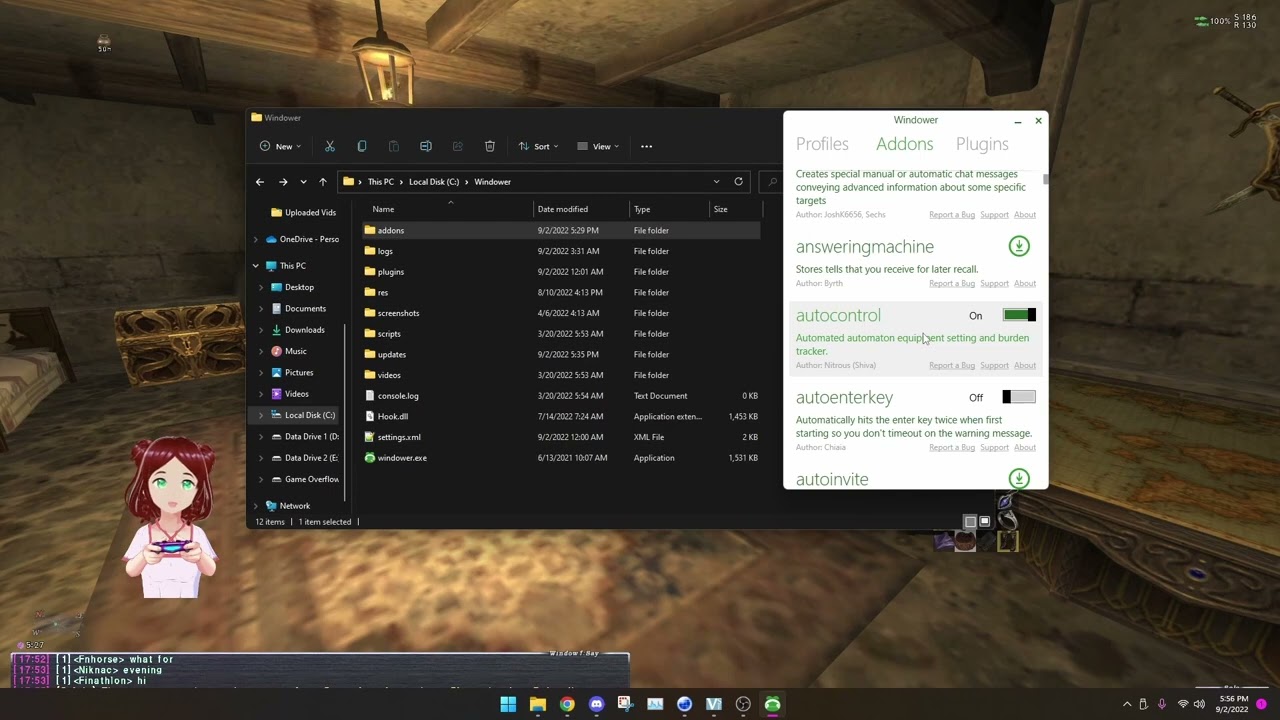 FFXI Advanced UI Guide - Windower, DGvoodoo, other add ons