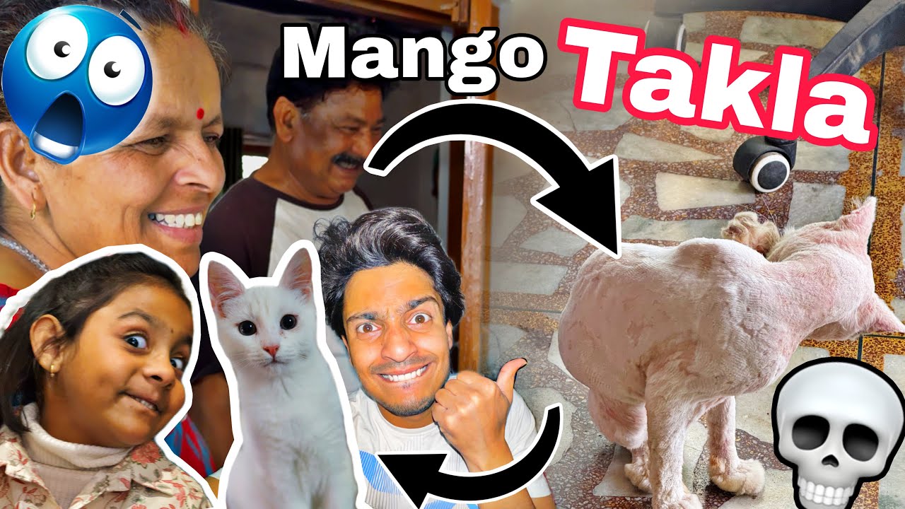 Aaj Mango K Baal Udwa Diye 🥹🥲| whoispiku