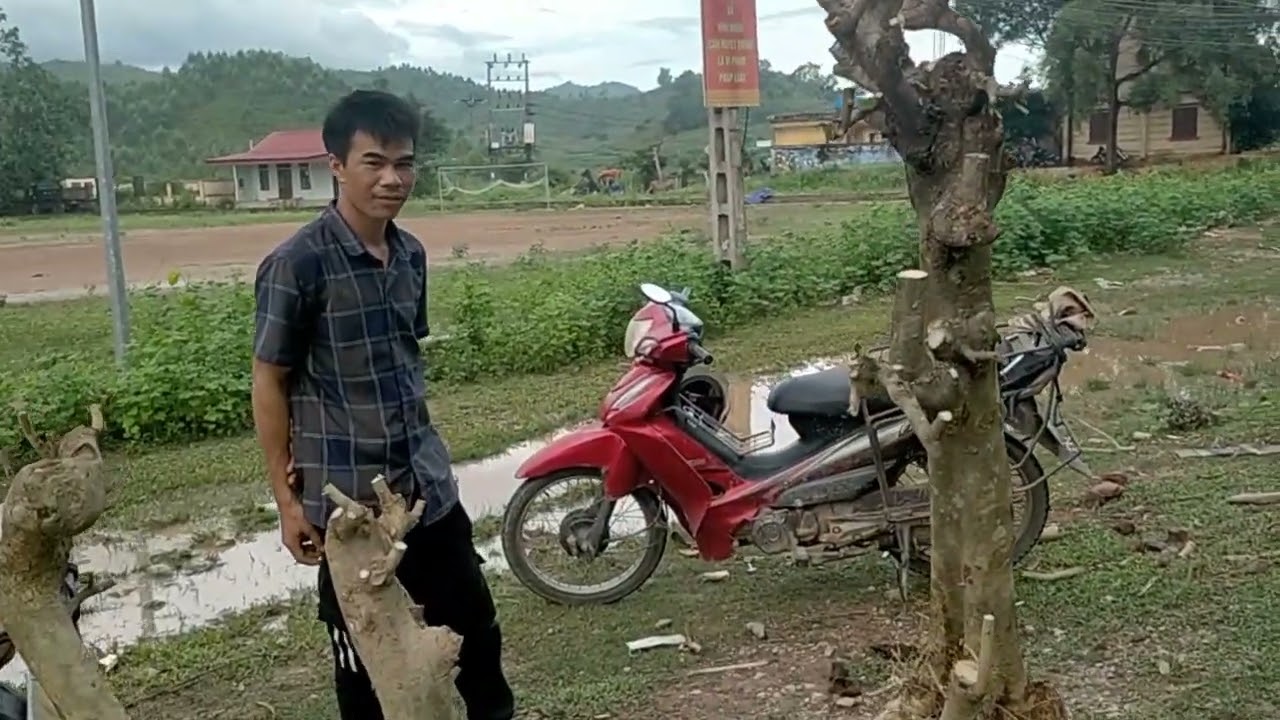 chợ phôi cây cảnh