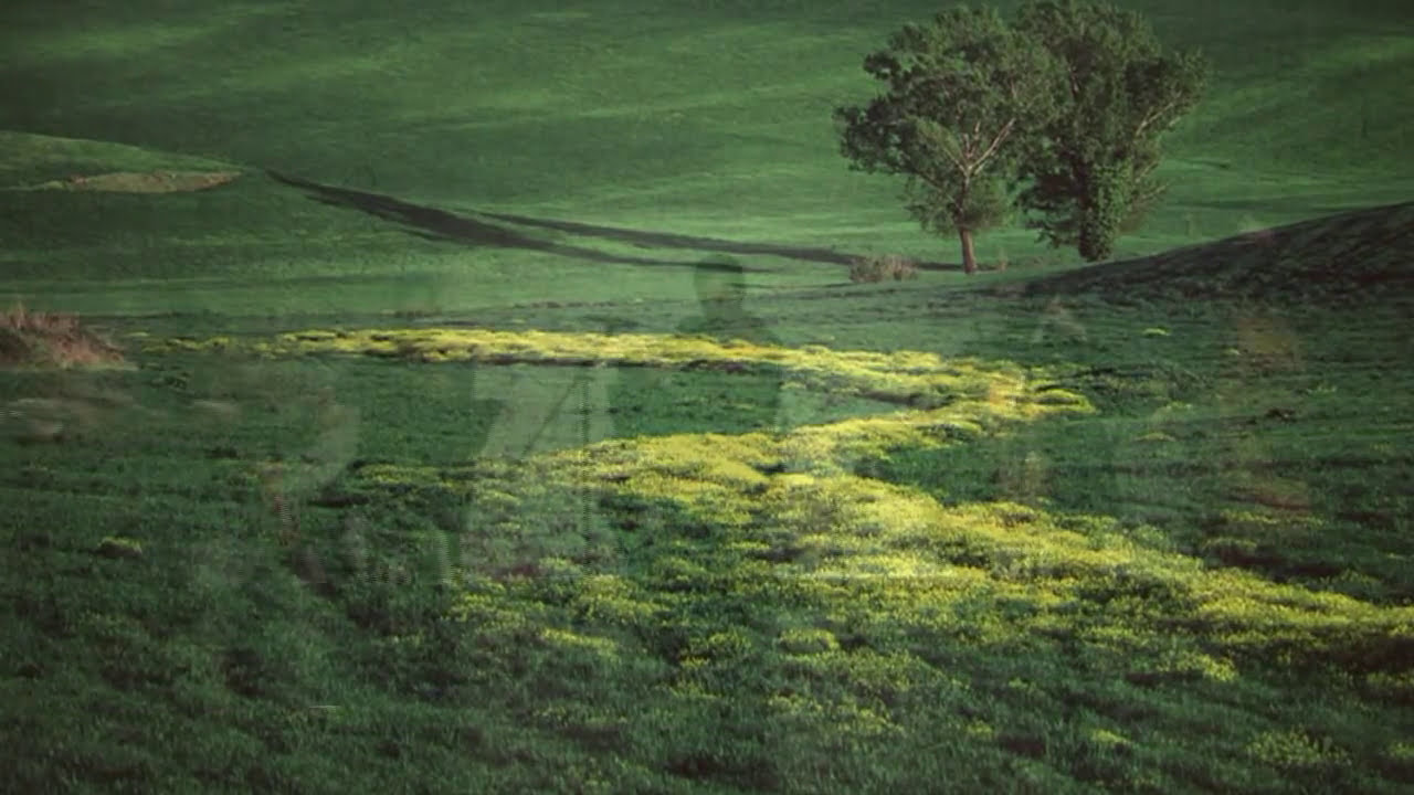 My Land - Paolo Carlomè