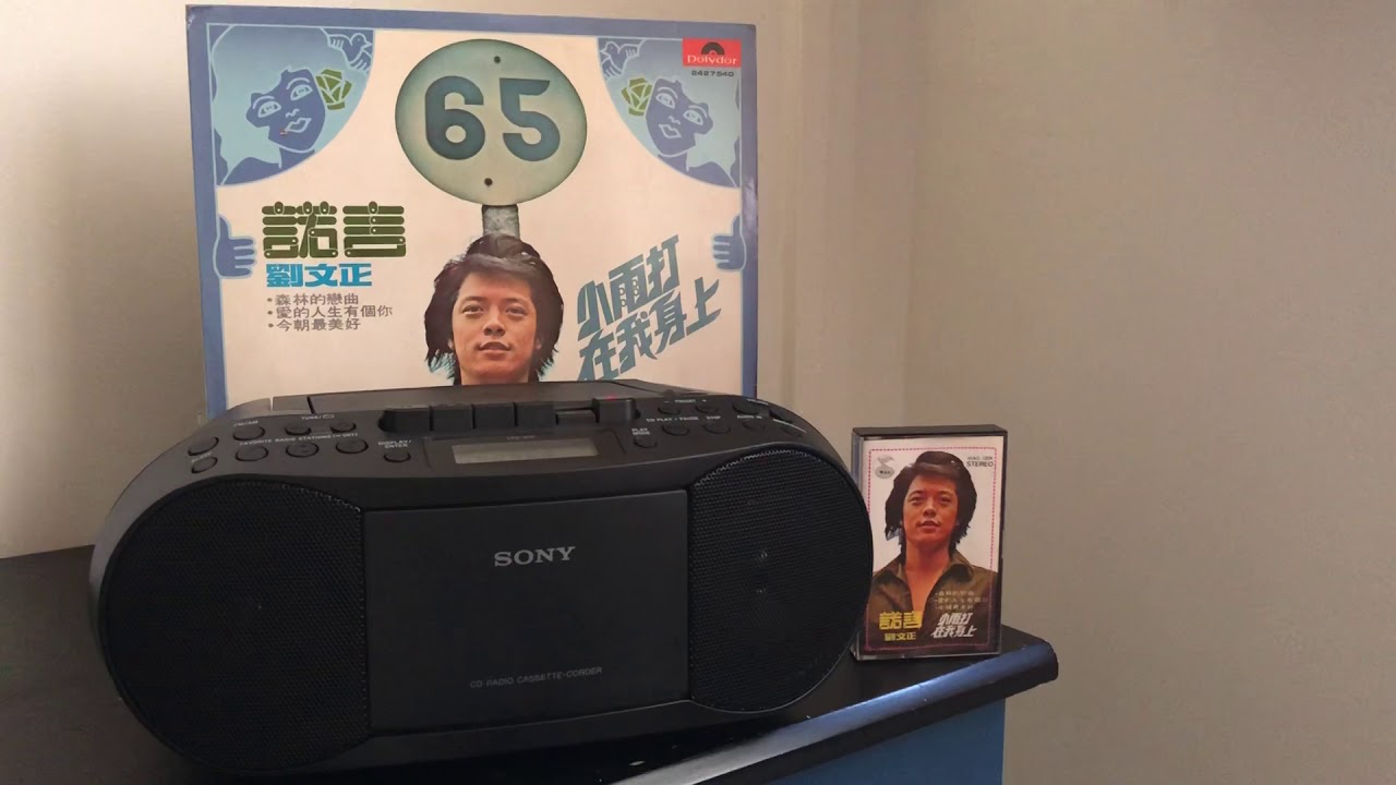 劉文正-小雨打在我身上卡帶之歌：今夜