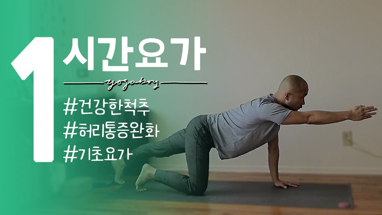 척추의 건강을 유지하고 허리 통증을 완화시켜주는 기초요가 | 1시간 요가 | 요가소년 340