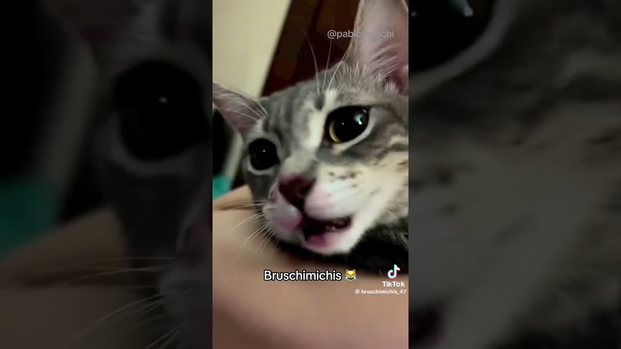 #bruchimichis
