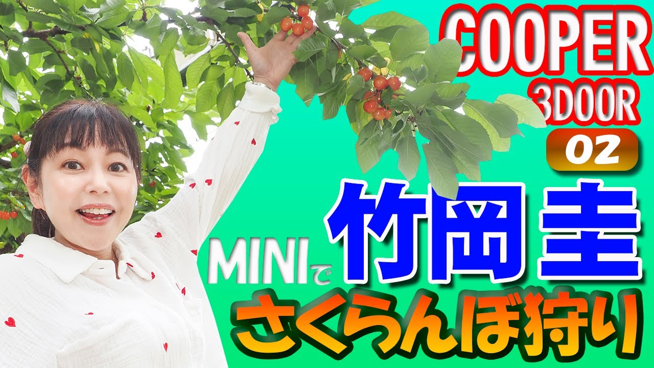 竹岡圭MINI_COOPERでさくらんぼ狩り後半