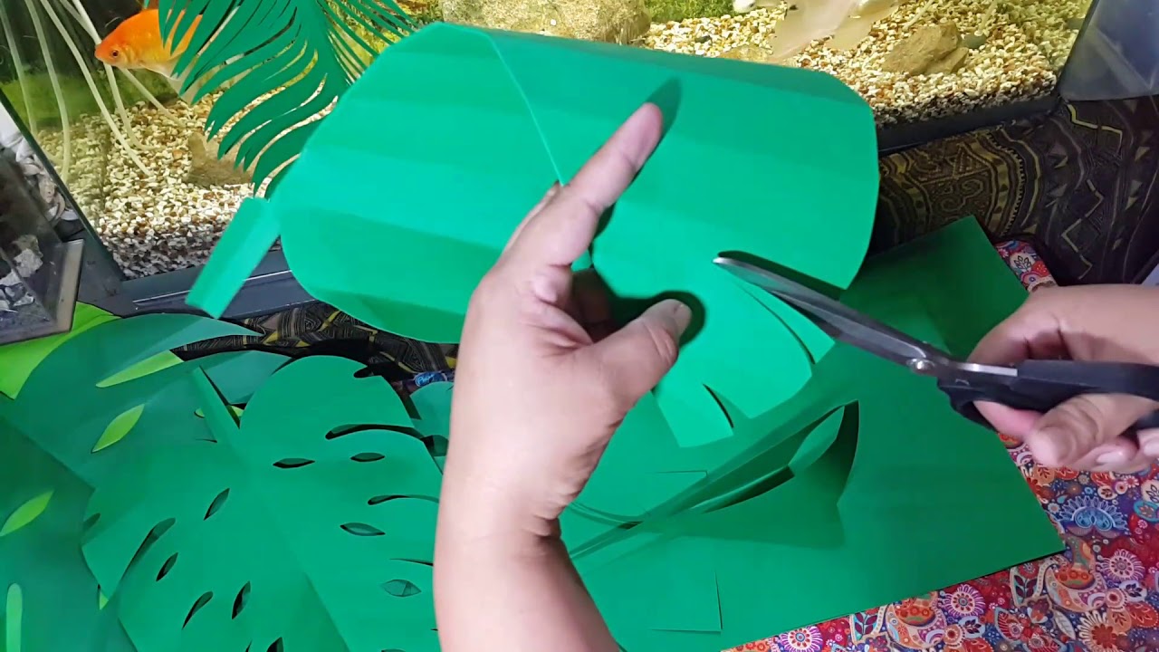 Hojas de cartulina