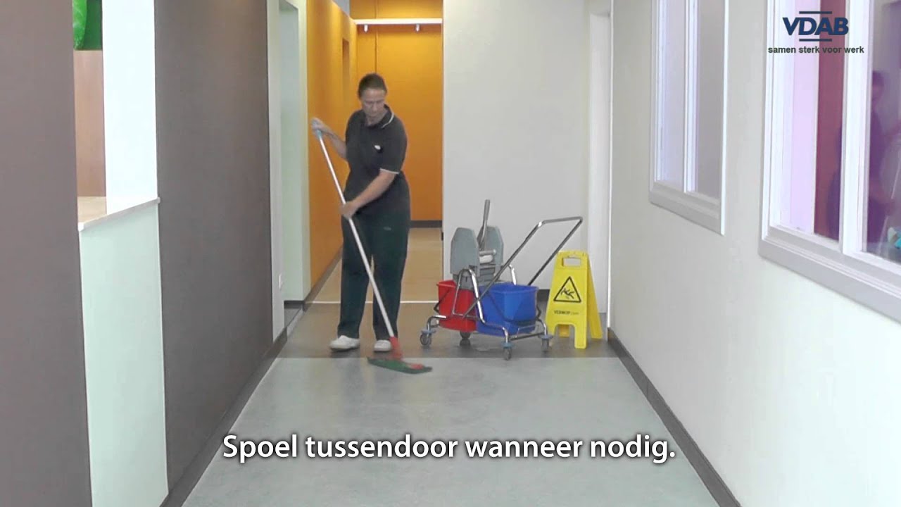6 moppen