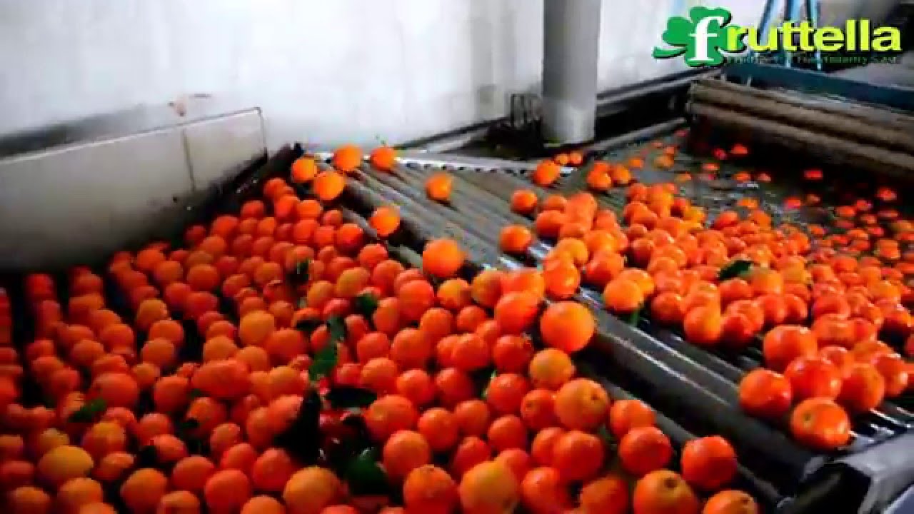 Fruttella