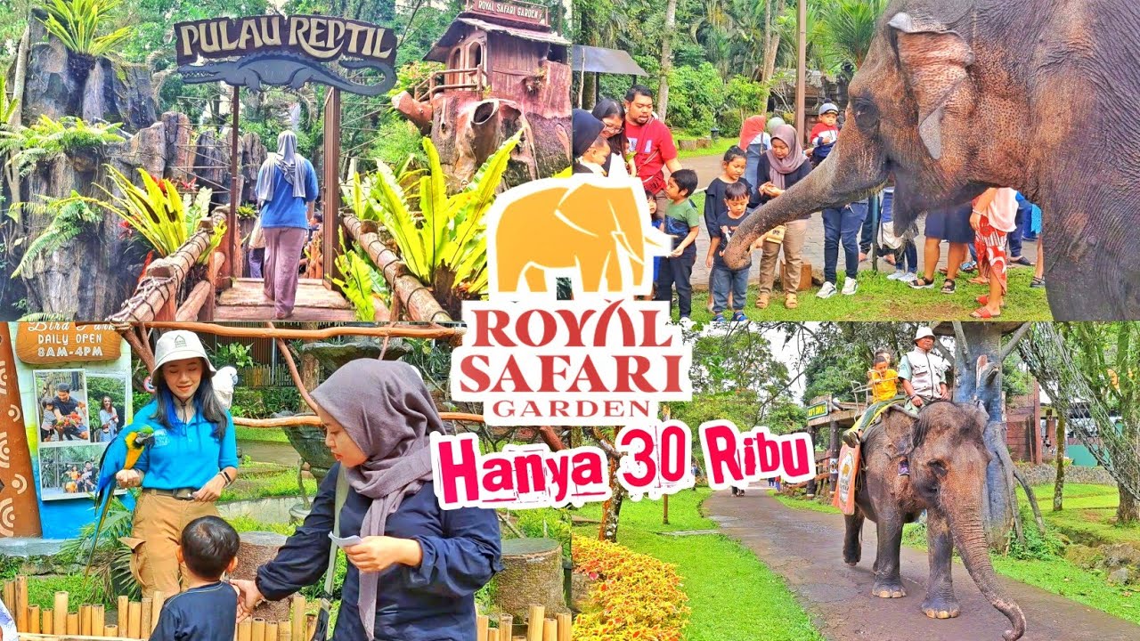 Royal Safari Garden Tanpa Menginap | Taman Safari Indonesia