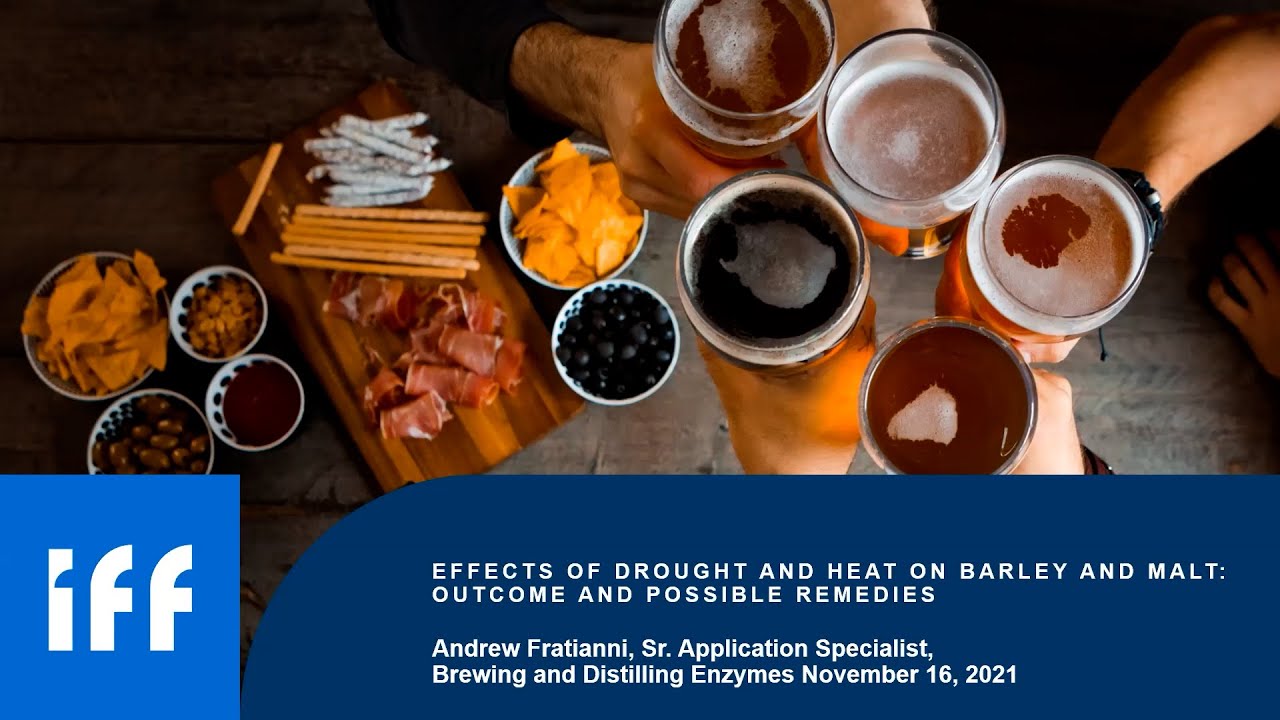 IFF Brewing Enzymes: Effects of Drought and Heat on Barley and Malt