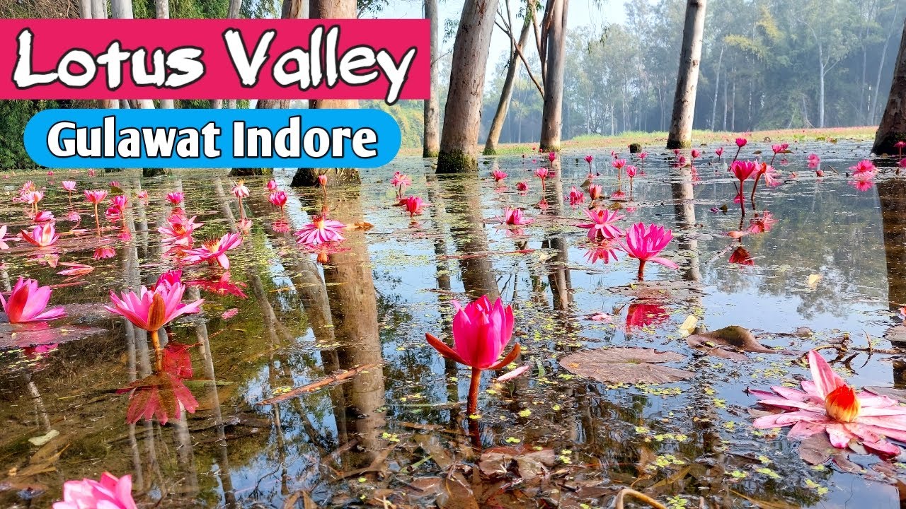 Lotus Valley Gulawat Indore | Perfect Destination for Photoshoot Gulawat Valley Indore