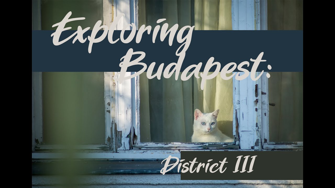 Exploring Budapest: District III