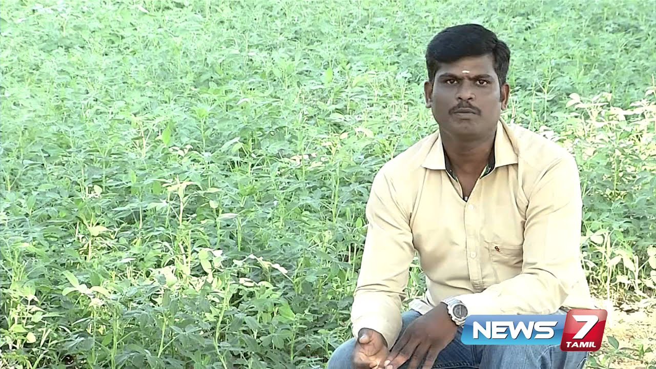 'Aadu Theenda paalai' is a remedy for intestinal worms | Poovali | News7 Tamil