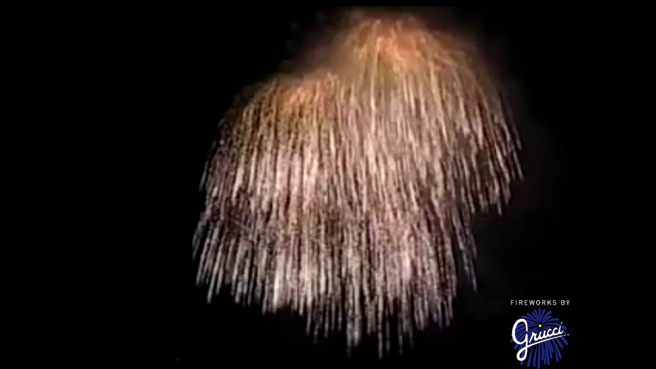 CATS after party fireworks on Sept 10, 2000