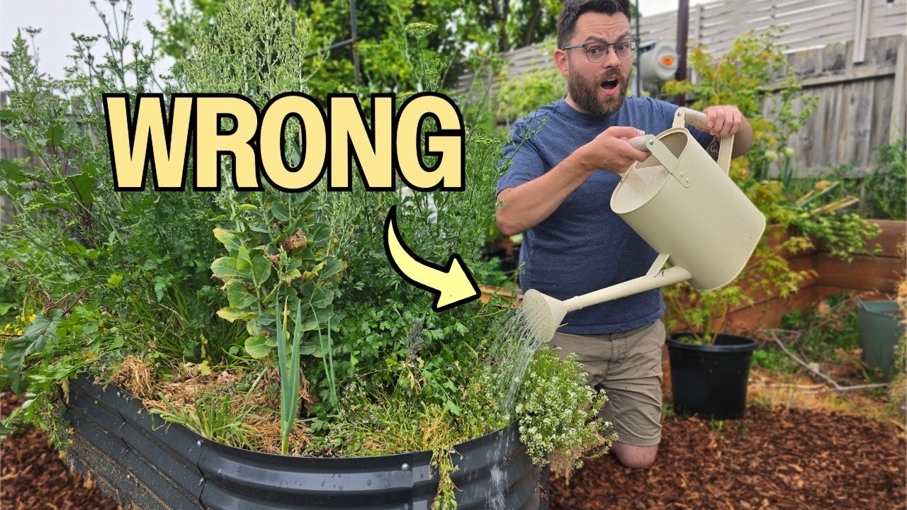 6 Watering Mistakes That Are KILLING Your Garden