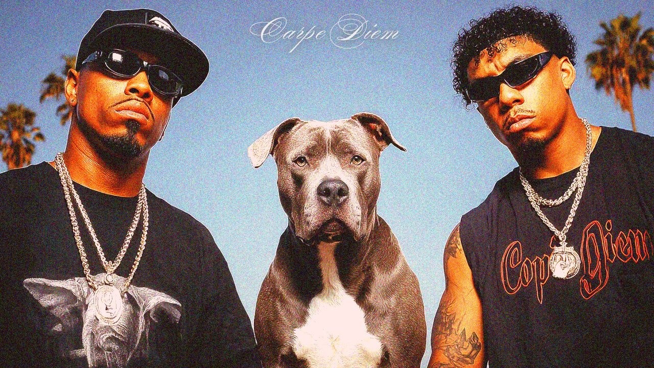 𝐏𝐥𝐚𝐲𝐥𝐢𝐬𝐭 🐶멍멍이도 들으면 춤추는 외힙 비트🚀 | 신나는 Hip Hop 플레이리스트🎧