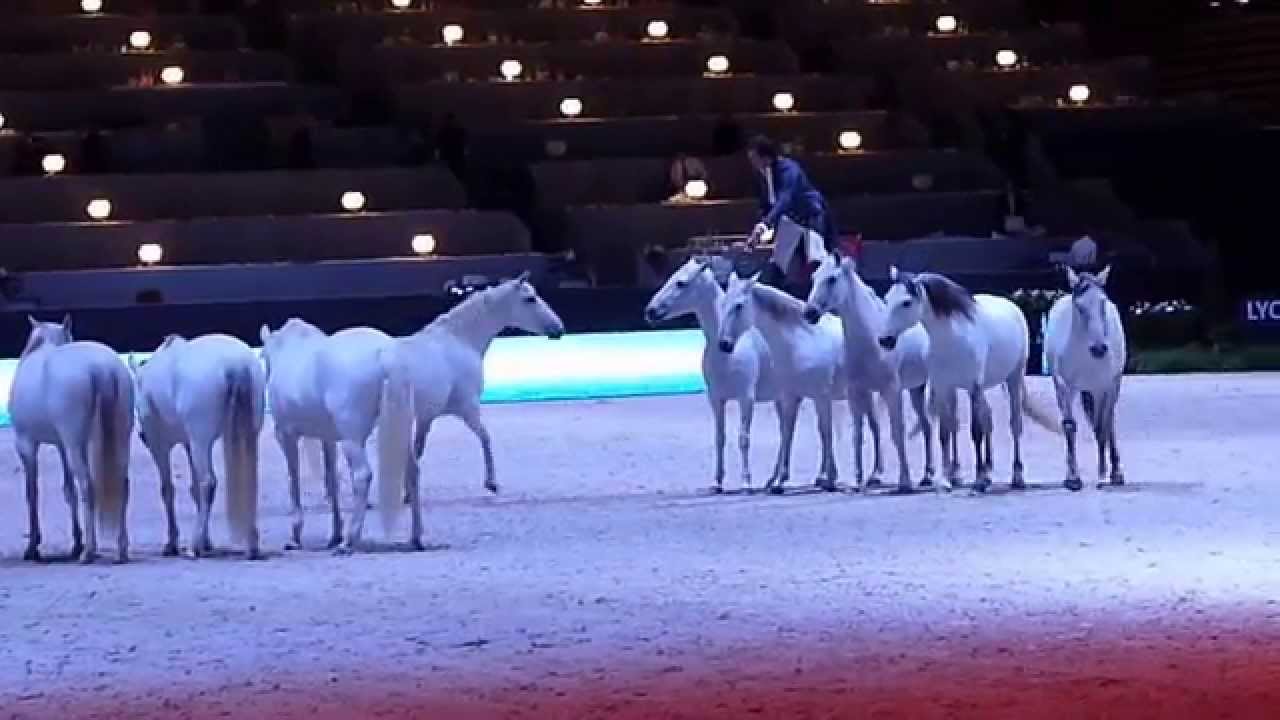 LORENZO Lyon Eurexpo 2014