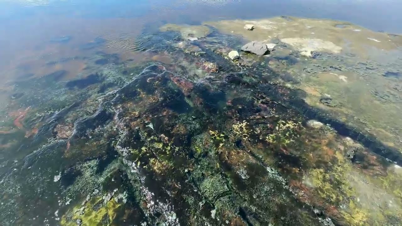 Magadi hot springs nature #2025