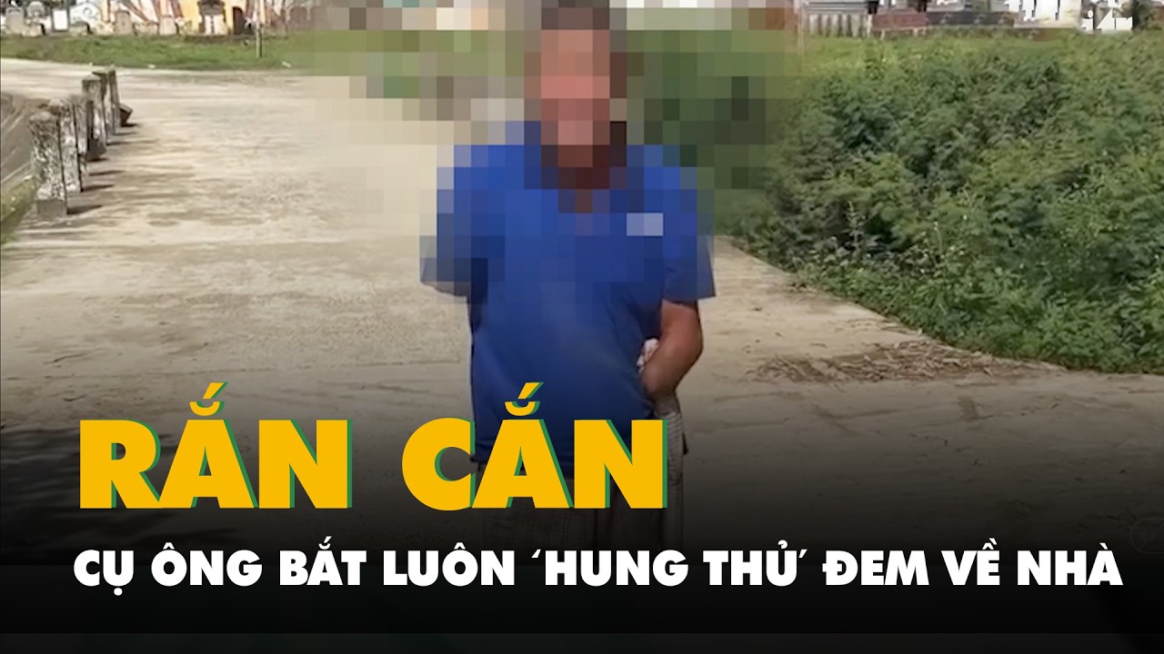 Bị rắn hổ mang cắn, cụ ông khuyết hai tay bắt luôn ‘hung thủ’ đem về nhà