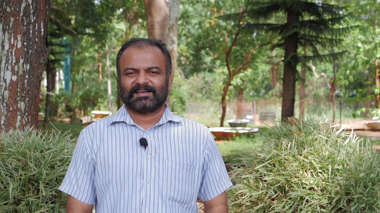 മുള കൃഷി  - Bamboo cultivation