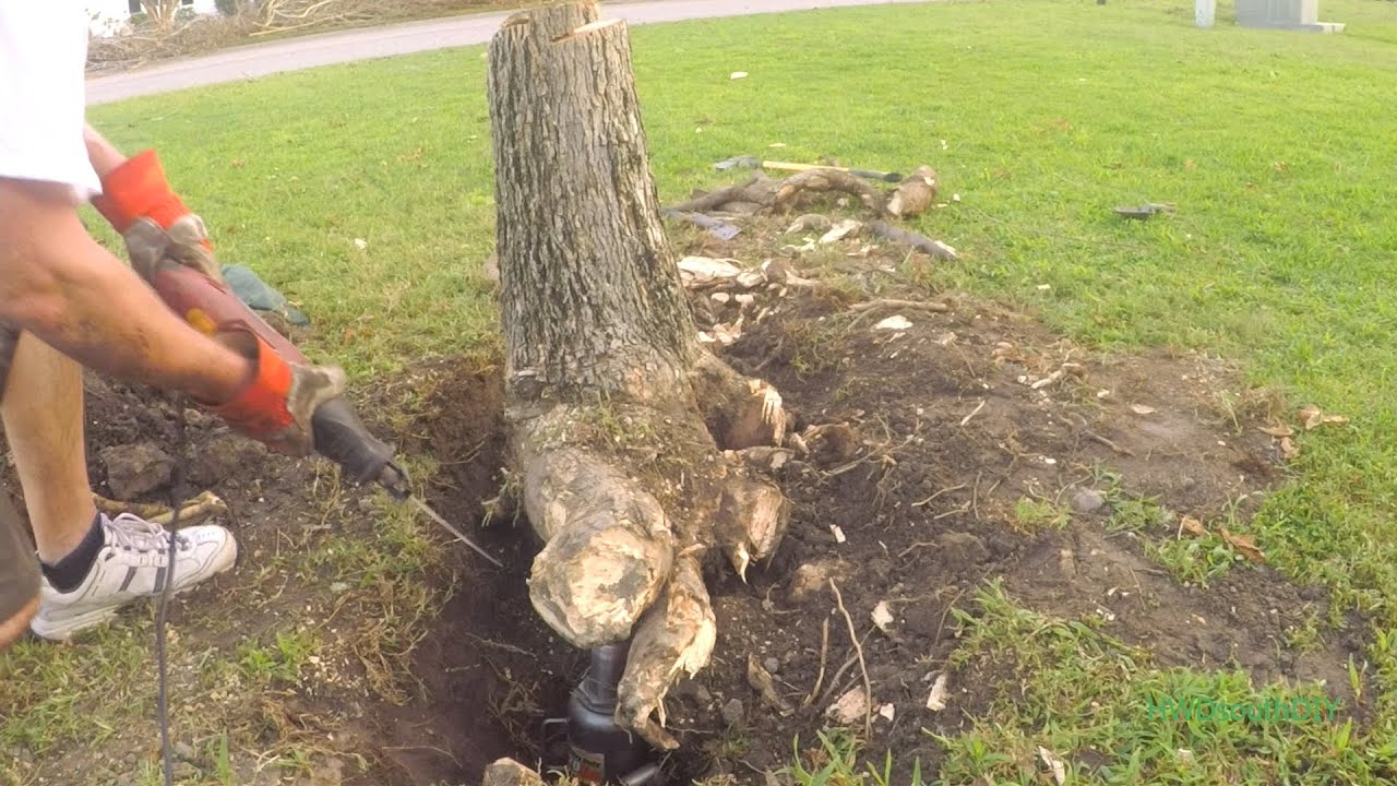 Stump Removal By Hand And 20 Ton Hydraulic Jack