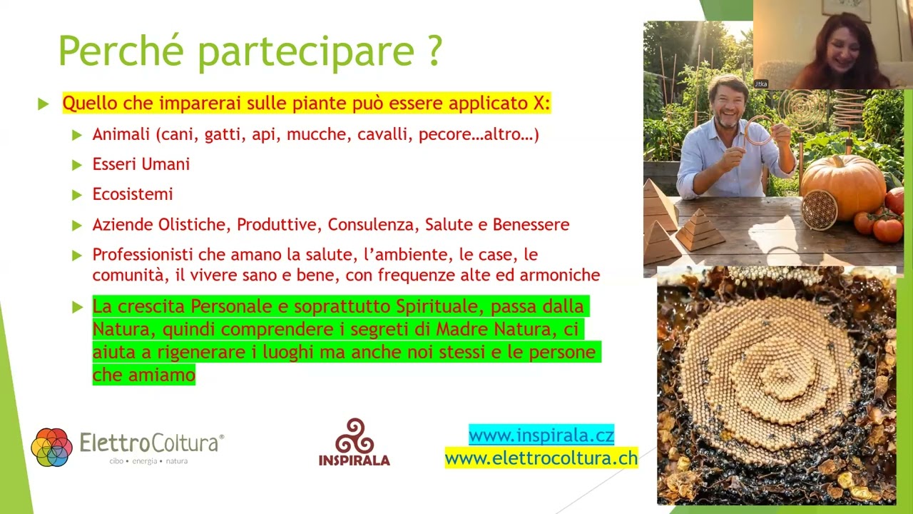 LIVE 15 Febbraio Corsi Online Base, Avanzato, Workshop per Rep Ceca Slovacchia ed Italia