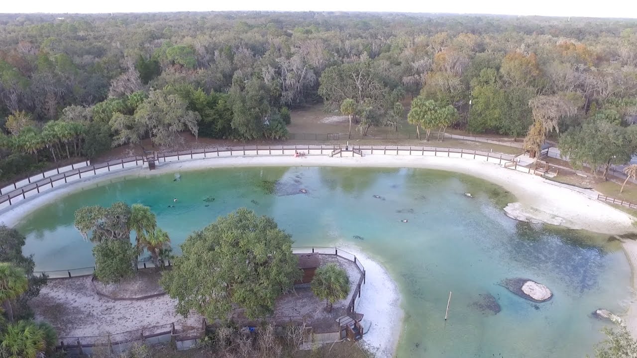Lithia Springs Park, FL - Awesome Aerial Views - 4k