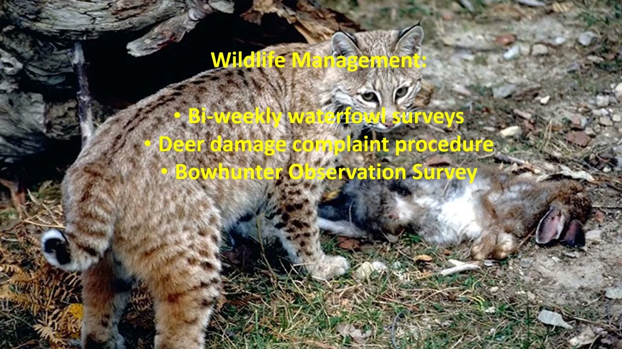 Central Ohio Nature- Ohio Division of Wildlife