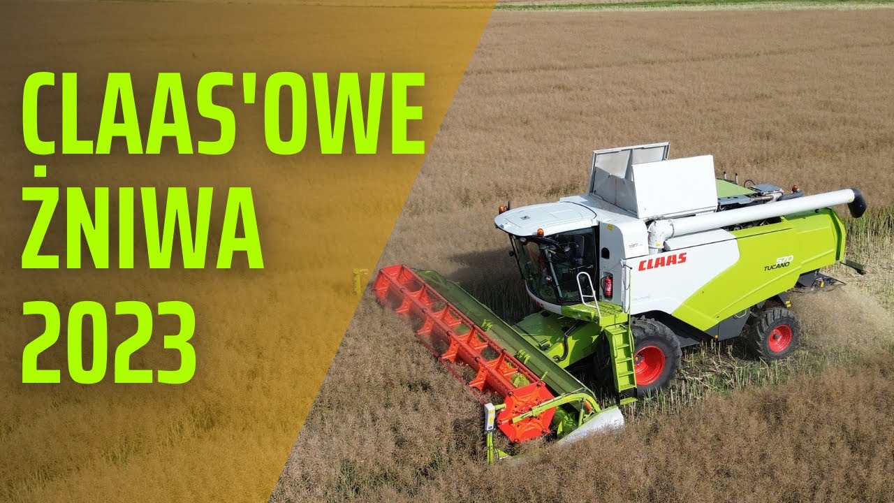 Claas Tucano 570 w akcji, rzepakowe żniwa 2023