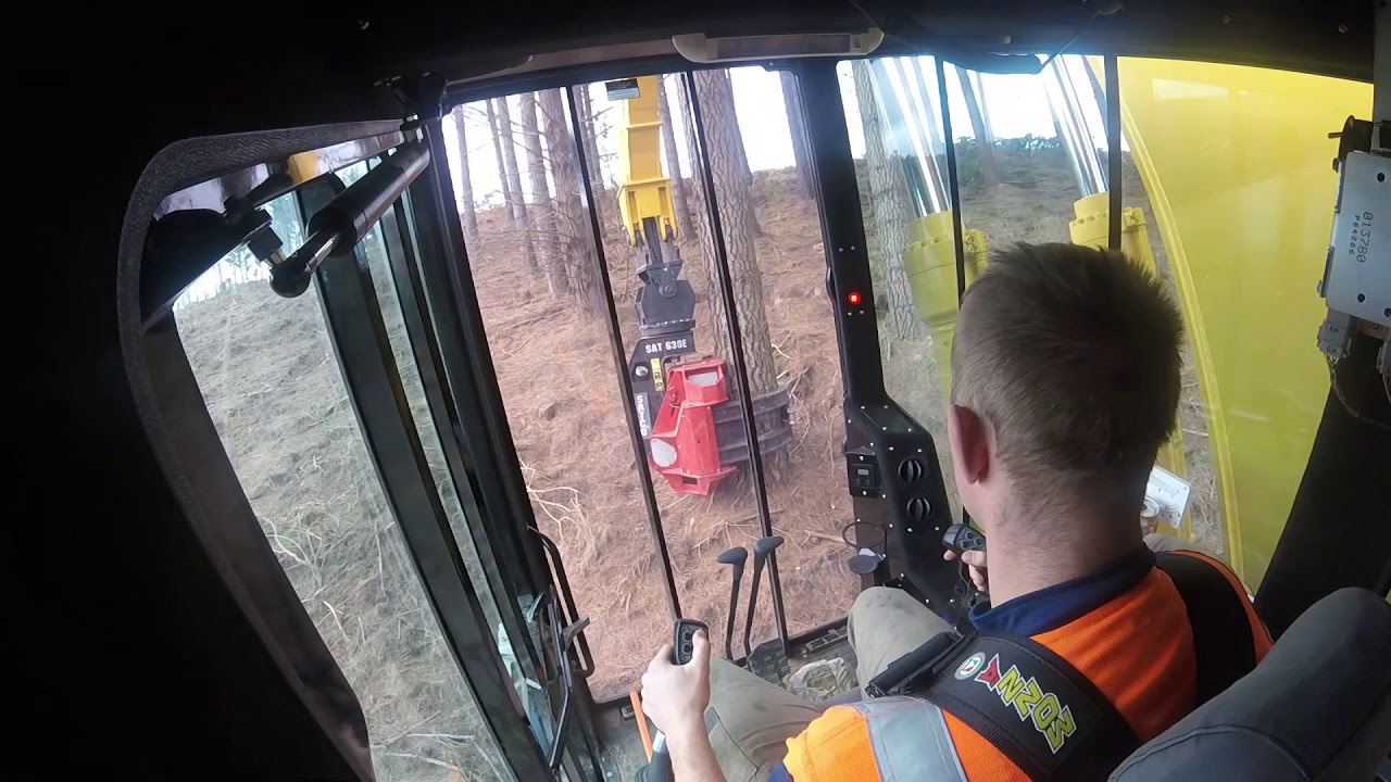 NZ Logging