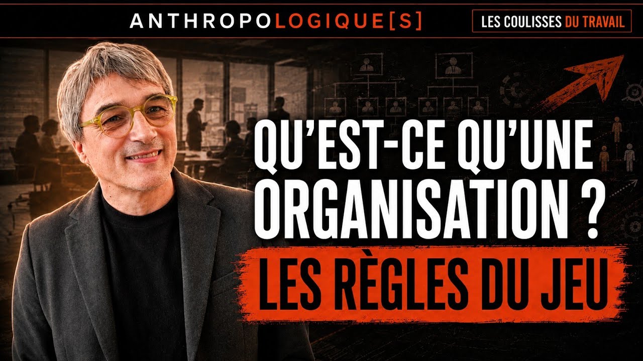 Qu'est ce qu'une organisation ?