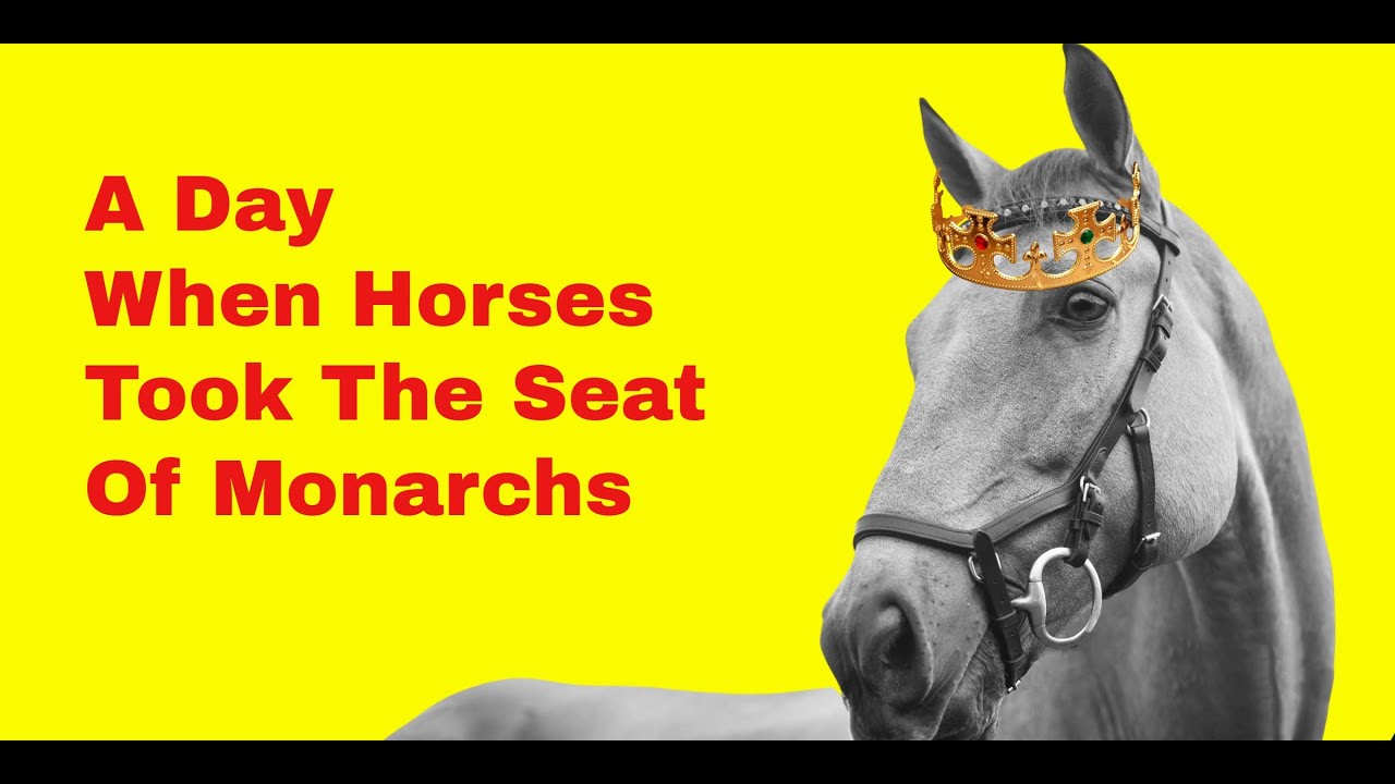 A Day When Horses Took The Seat Of Monarchs | An Epic Punishment For The Poor Opening