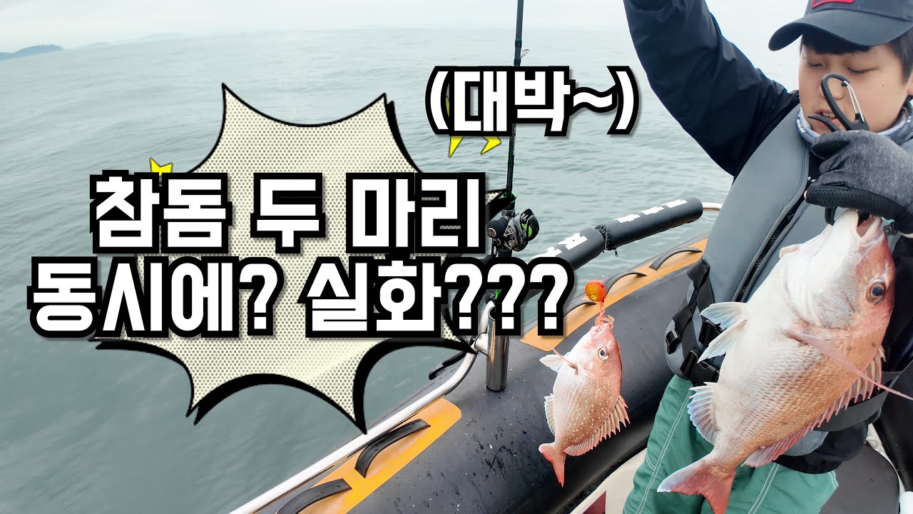 초딩 낚시 실력 미쳤다... 참돔을 두마리를 동시에??!
