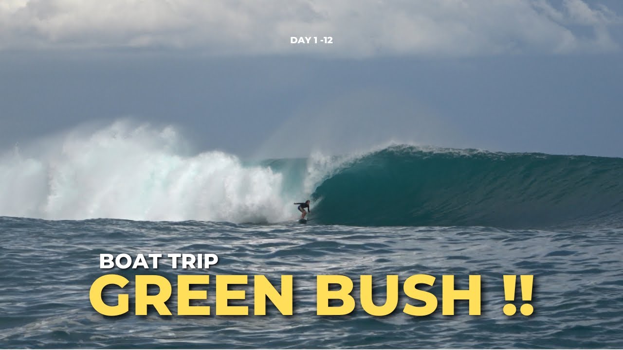 GREEN BUSH IN 5 MINUTES