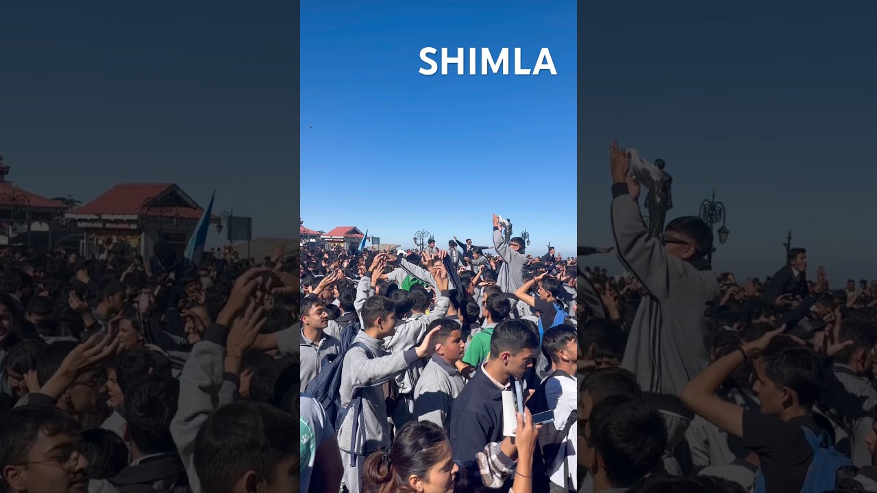 #shimla #hppolice #ridgeshimla #antidrugs #treding #hpnews #himachal #touristattraction