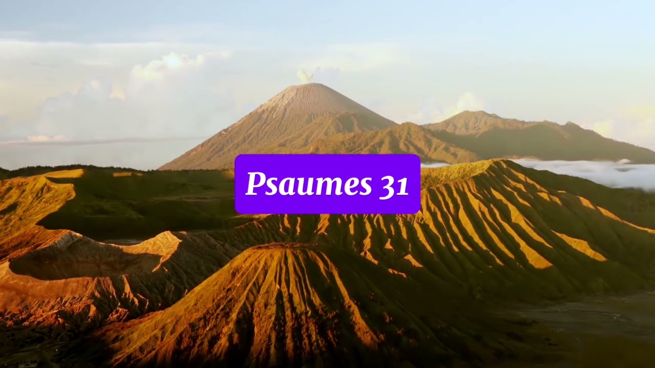 🎙️Psaumes 31– Dieu est mon refuge