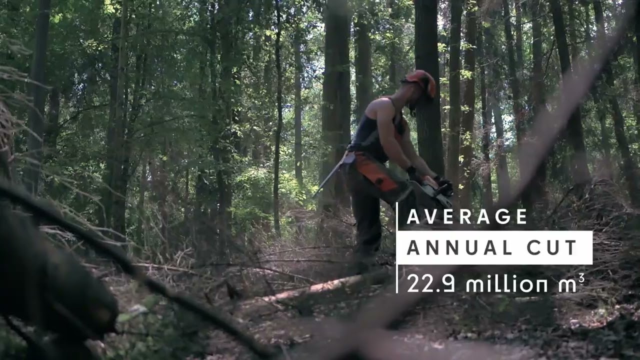 Forests in Czechia 2022