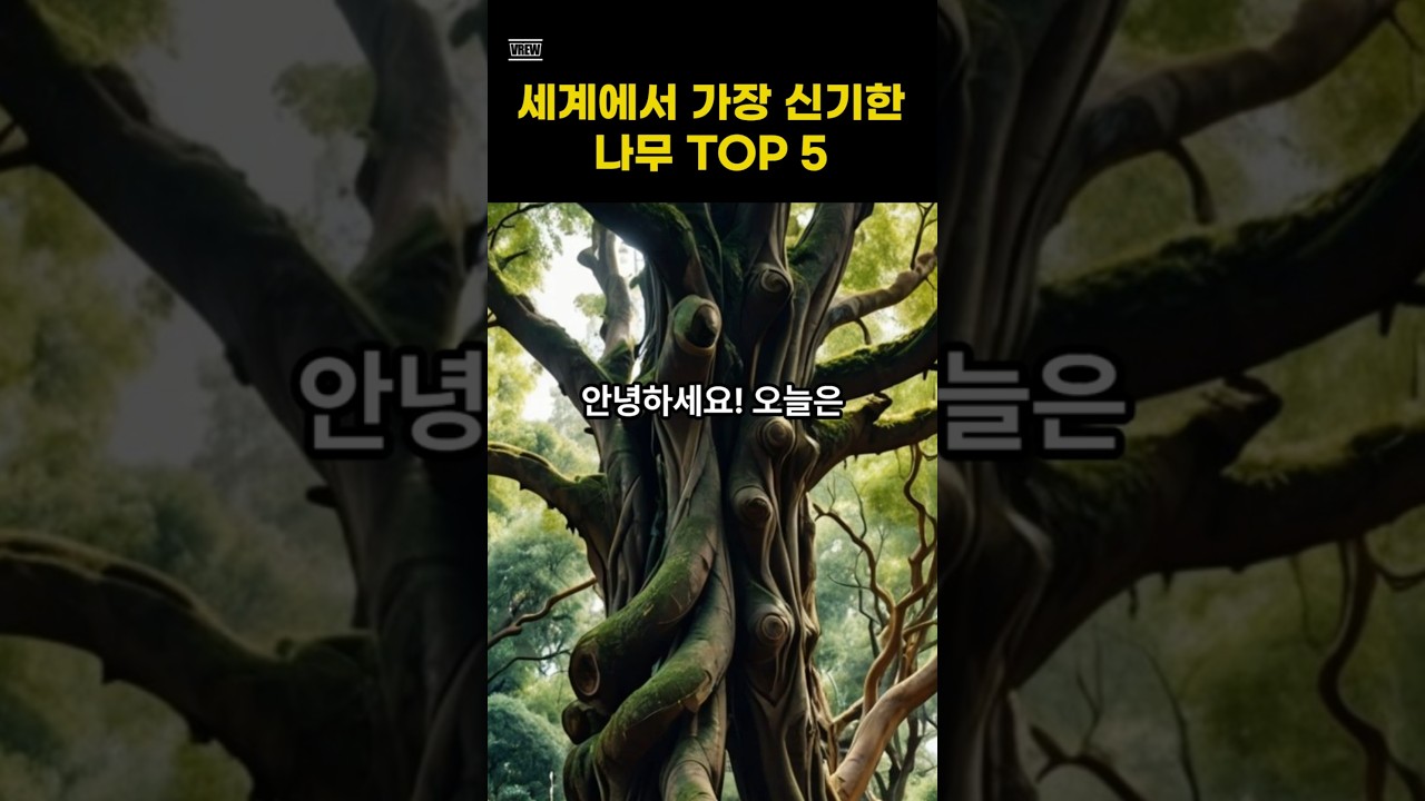 세계에서 가장 신기한 나무 TOP 5