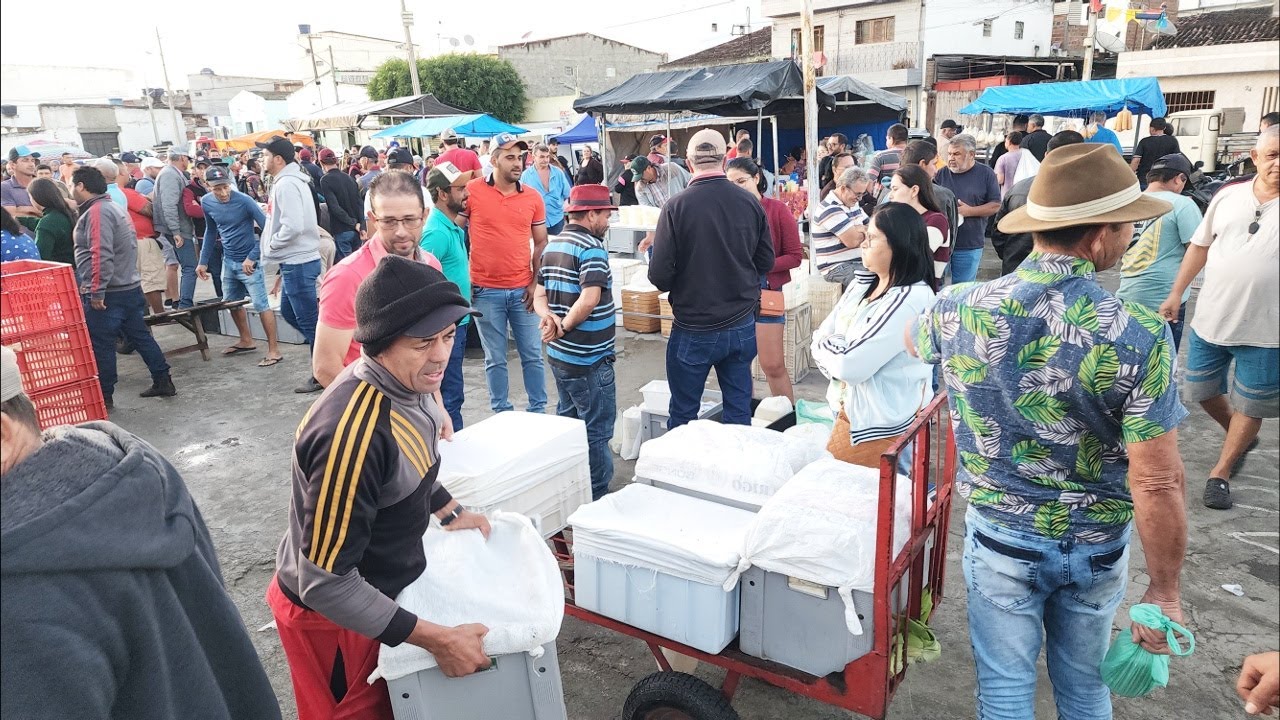 QUEIJO COM PREÇO EM ALTA NA FEIRA EM CACHOEIRINHA-PE.